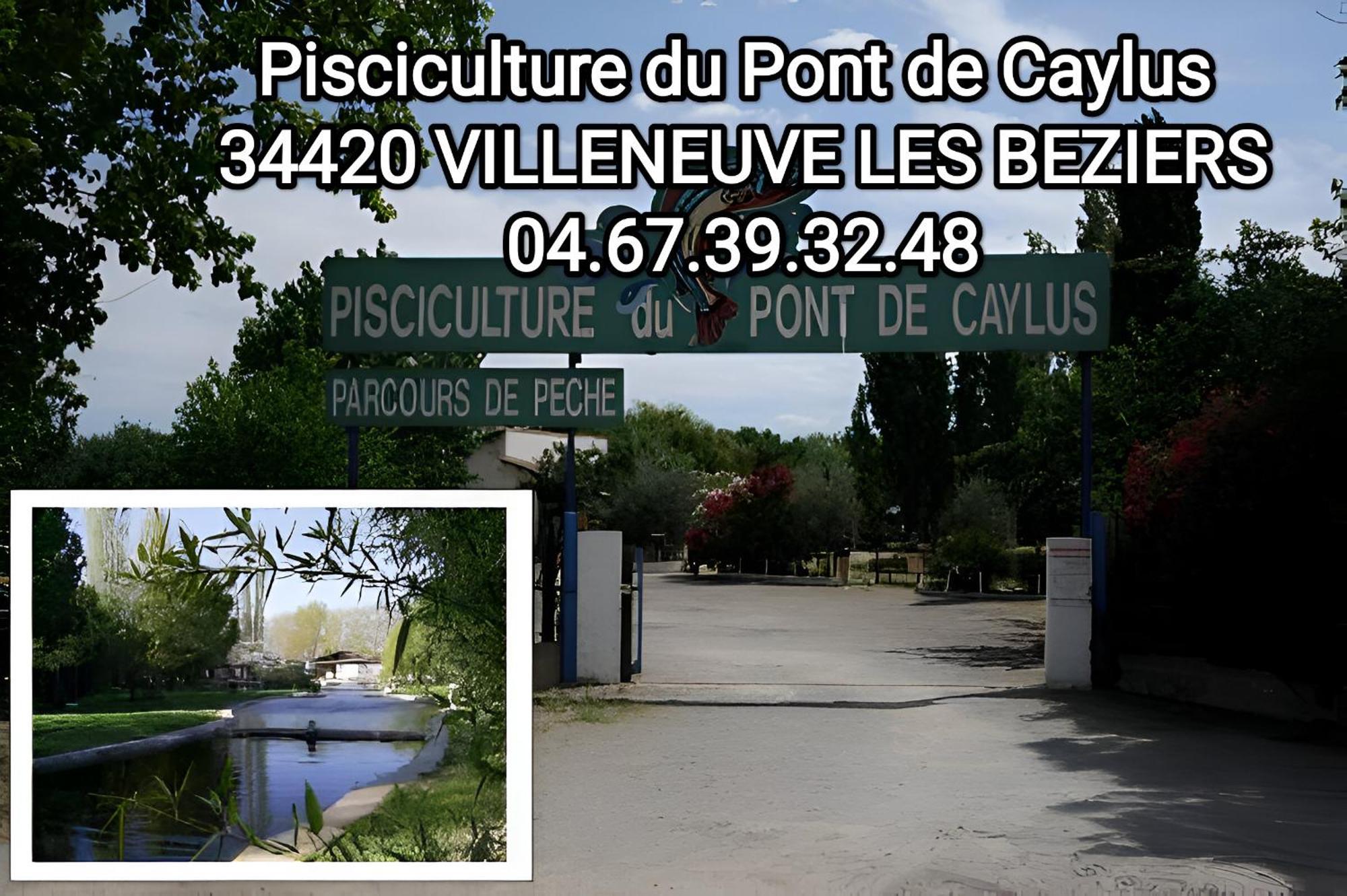 Tiny House 3 Personnes Soeursgrises Beziers Centre Historique Coeur De L'Herault Capitale D'Occitanie Kültér fotó
